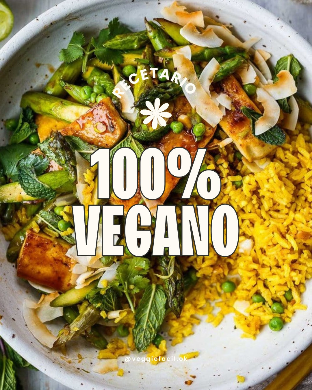 300 Recetas Veganas + BONOS de regalo!
